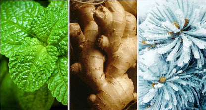 Brand Perfume for Men 100ml – Pheromone Scent