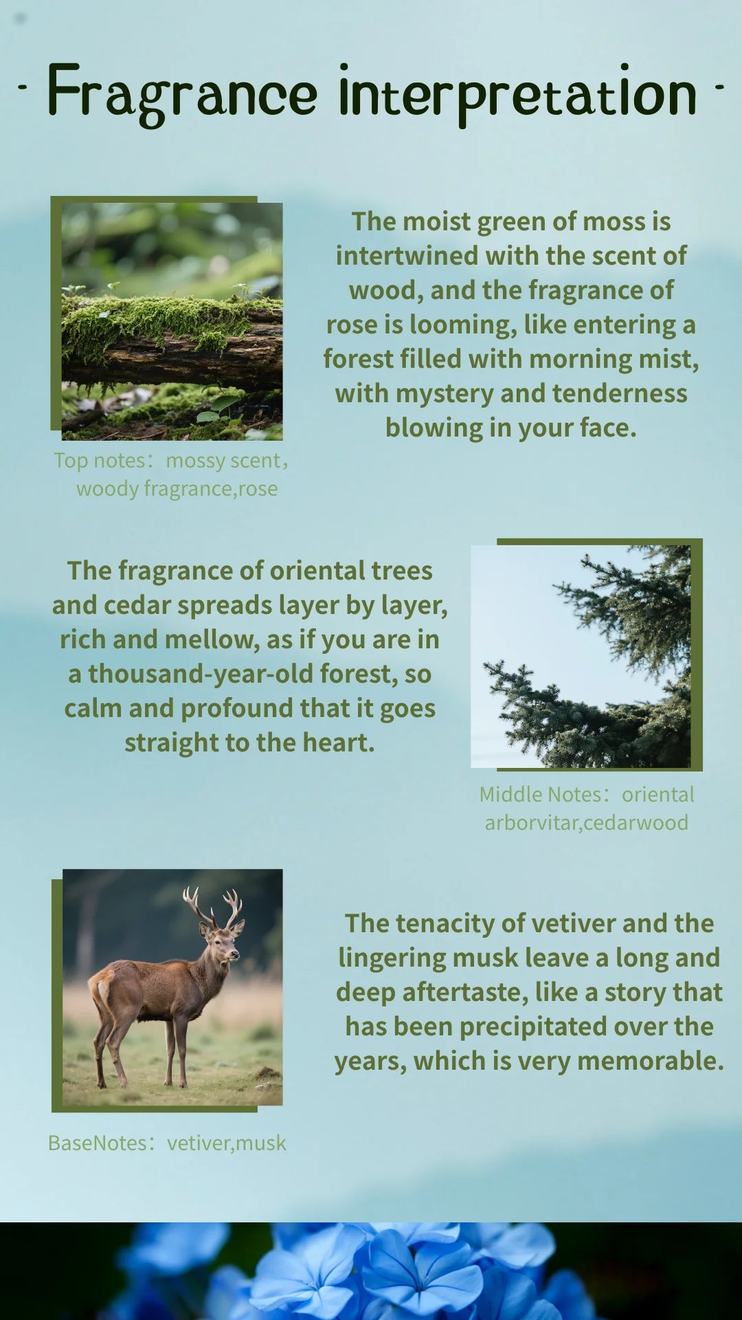 Arabian Oud Eau de Parfum – Luxury Woody Spicy Unisex Perfume