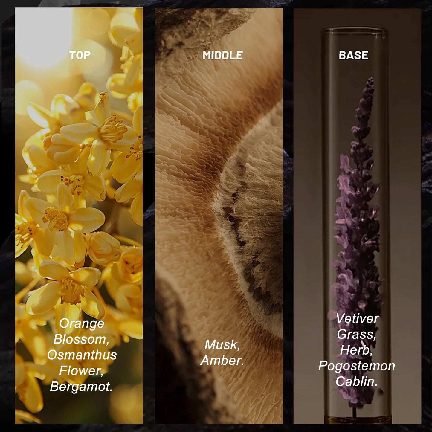 WK Jaly Perfume 120ml – Long Lasting Cologne